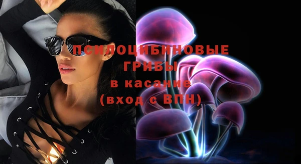 СК Балахна