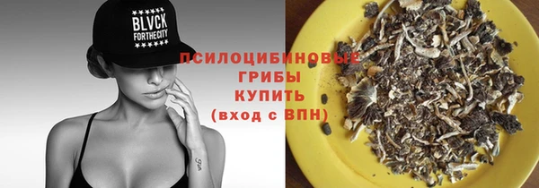 spice Баксан