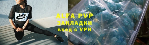 СК Балахна