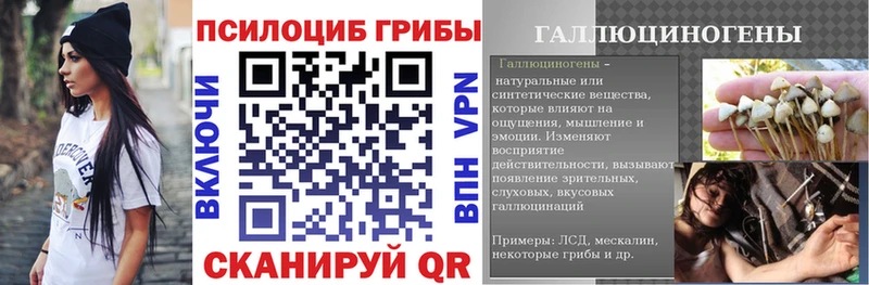 наркошоп  мега онион  Галлюциногенные грибы Psilocybine cubensis  Мариинский Посад 